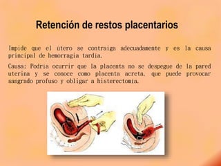 Retención de restos placentarios
Impide que el útero se contraiga adecuadamente y es la causa
principal de hemorragia tardía.
Causa: Podría ocurrir que la placenta no se despegue de la pared
uterina y se conoce como placenta acreta, que puede provocar
sangrado profuso y obligar a histerectomía.
 