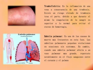  Tromboflebitis: Es la inflamación de una
vena a consecuencia de una trombosis.
Existe un riesgo elevado de trombosis
tras el parto, debido a que durante el
mismo la coagulación de la sangre es
superior a lo normal para evitar el
exceso de hemorragia.
 Embolia pulmonar: Es una de las causas de
muerte más frecuentes en esta fase. Las
embolias pulmonares pequeñas evolucionan
en ocasiones sin síntomas. En cambio,
cuando una embolia pulmonar afecta a un
vaso pulmonar más grande, repercute
notablemente en el flujo sanguíneo entre
el corazón y el pulmón
 