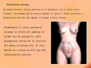  Sinvolucion uterina:
Se puede producir atonía uterina en el puerperio con el útero vacío
(causas: las mismas que de atonía durante el parto). Puede asociarse a
malposición uterina que impide el normal reflujo venoso.
Normalmente el útero puerperal
alcanza la altura del ombligo el
primer día de puerperio, para
desaparecer detrás de la sínfisis
del pubis al noveno día. Si esta
marcha se retrasa se dice que hay
subinvolucion uterina.
 