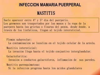 INFECCION MAMARIA PUERPERAL
 Flemón subareolar:
La contaminación se localiza en el tejido celular de la aréola.
 Mastitis intersticial:
La invasión llega hasta el tejido conjuntivo interglandular.
 Galactoforitis:
Invasión a conductos galactóforos, inflamación de sus paredes.
 Mastitis parenquimatosa:
Si la infección progresa hasta los ácidos glandulares.
Suele aparecer entre 4º y 5º día del puerperio.
Los gérmenes son trasportados por las manos y la ropa de la
puérpera hasta las grietas o fisuras del pezón, desde donde, a
través de los linfáticos, llegan al tejido intersticial.
MASTITIS
 