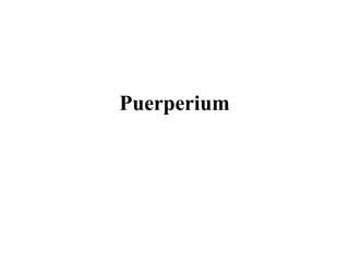 Puerperium

 