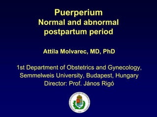 Puerperium
Normal and abnormal
postpartum period
Attila Molvarec, MD, PhD
1st Department of Obstetrics and Gynecology,
Semmelweis University, Budapest, Hungary
Director: Prof. János Rigó
 