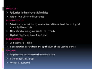 PHYSIOLOGICAL
MUSCLES :
¾ Reduction in the myometrial cell size
¾ Withdrawal of steroid hormones
BLOODVESSELS:
¾ Arteries are constricted by contraction of its wall and thickening of
intima by thrombosis
¾ New blood vessels grow inside the thrombi
¾ Hyaline degeneration of tissue wall
ENDOMETRIUM:
¾ ET becomes 2 – 5 mm
¾ Regeneration occurs from the epithelium of the uterine glands
VAGINA:
¾ Regains tone but never to the virginal state
¾ Introitus remains larger
¾ Hymen is lacerated
 