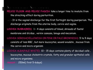 BROAD LIGAMENTS AND ROUND LIGAMENTS
PELVIC FLOOR AND PELVIC FASCIA take a longer time to involute from
the streching effect during parturition.
LOCHIA - It is the vaginal discharge for the first fortnight during puerperium. The
discharge originate from the uterine body, cervix and vagina.
LOCHIA RUBRA(RED) 1 – 4 days consists of blood, shreads of foetal
membrane and dicidua , vernix caseosa, lanugo and meconium.
LOCHIA SEROSA(YELLOWISH OR PINK OR PALE BROWNISH): 5 to 9 days
consists of less RBC , but more leucocytes, wound exudate , mucous from
the cervix and micro organism
LOCHIA ALBA(PALE WHITE): 10 – 15 days contains plenty of decidual cells ,
leucocytes, mucous cholestrin crystals, fatty and granular epithelial cells
and micro organisms.
Amount : 250ml( first 5-6days)
 