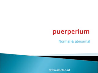  		puerperium		