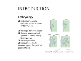 INTRODUCTION 
Embryology 
 Epithelial/mesangial-glandular 
tissues of breast 
4th to 6th weeks 
 Develops from milk streak 
 thoracic mammary bud 
appears at approx. 49day. 
Rest involutes 
 Dermally derived 
 Lies cushioned in fat 
Between layers of superficial 
pectoral fascia 
 