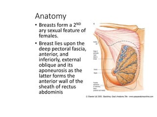 Anatomy 
• Breasts form a 2ND 
ary sexual feature of 
females. 
• Breast lies upon the 
deep pectoral fascia, 
anterior, and 
inferiorly, external 
oblique and its 
aponeurosis as the 
latter forms the 
anterior wall of the 
sheath of rectus 
abdominis 
 