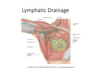 Lymphatic Drainage 
 