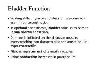 Bladder Function 
• Voiding difficulty & over distension are common 
esp. in reg. anaesthesia. 
• In epidural anaesthesia, bladder take up to 8hrs to 
regain normal sensation. 
• Damage is inflicted on the detrusor muscle, 
overstretching can dampen bladder sensation, i.e. 
hypo-contractile 
• Fibrous replacement of smooth muscles 
• Urine production increases in puerperium. 
 