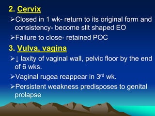 2. Cervix
Closed in 1 wk- return to its original form and
consistency- become slit shaped EO
Failure to close- retained POC
3. Vulva, vagina
↓ laxity of vaginal wall, pelvic floor by the end
of 6 wks.
Vaginal rugea reappear in 3rd wk.
Persistent weakness predisposes to genital
prolapse
 