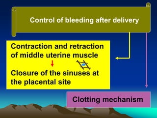 Control of bleeding after delivery
Contraction and retraction
of middle uterine muscle
Closure of the sinuses at
the placental site
Clotting mechanism
 