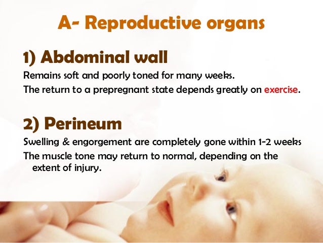 puerperium normal abnormal prof salah roshdy puerperium
