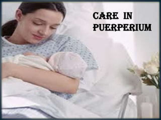 Care in
puerperium
 