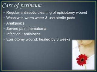 •   Regular antiseptic cleaning of episiotomy wound
•   Wash with warm water & use sterile pads
•   Analgesics
•   Severe pain: hematoma
•   Infection : antibiotics
•   Episiotomy wound: healed by 3 weeks
 