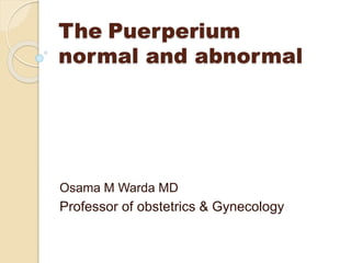 The Puerperium 
normal and abnormal 
Osama M Warda MD 
Professor of obstetrics & Gynecology 
 
