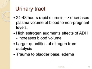Urinary tract 
 24-48 hours rapid diuresis –> decreases 
plasma volume of blood to non-pregnant 
levels. 
 High estrogen augments effects of ADH 
- increases blood volume 
 Larger quantities of nitrogen from 
autolysis 
 Trauma to bladder base, edema 
O Warda 15 
 