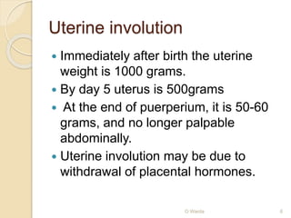 Uterine involution 
 Immediately after birth the uterine 
weight is 1000 grams. 
 By day 5 uterus is 500grams 
 At the end of puerperium, it is 50-60 
grams, and no longer palpable 
abdominally. 
 Uterine involution may be due to 
withdrawal of placental hormones. 
O Warda 6 
 
