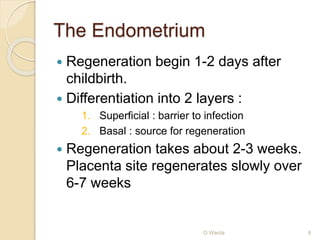 The Endometrium 
 Regeneration begin 1-2 days after 
childbirth. 
 Differentiation into 2 layers : 
1. Superficial : barrier to infection 
2. Basal : source for regeneration 
 Regeneration takes about 2-3 weeks. 
Placenta site regenerates slowly over 
6-7 weeks 
O Warda 9 
 