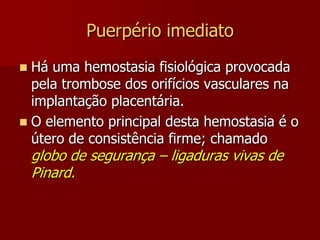 2 - Pós-parto tardio ( 11º ao 45º dia )