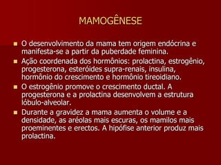AMAMENTAÇÃOFISIOLOGIA MAMÁRIAMamogênese(desenvolvimento da mama)Lactogênese(início da lactação, produção do leite)Lactopoese(manutenção da lactação, ejeção do leite)OBS; são controladas por arcos reflexos neurais que se iniciam com o estímulo das terminações nervosas do complexo  aréolo-mamilar,   (OCITOCINA/PROLACTINA)