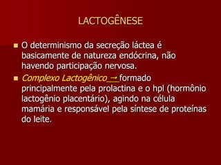 Na mulher, aos20 anos, a mama atinge sua maturidade.Composta por 20lobos e subdivididosem lóbulos que possuemde 10 a 100 alvéolos, terminandonos ductos lactíferos.GLÂNDULA MAMÁRIA:15-25- ductos terminando no mamilo e conectados aos alvéolos.Cada ducto limita um lóbulo.Os lóbulos são suportados por tecido conectivoe tecido adiposo. Mamilo+Auréola recebem fibras neurais sensíveis ao estiramento durante a lactaçãohttp://www.oup.com/uk/booksites/content/0198585276/