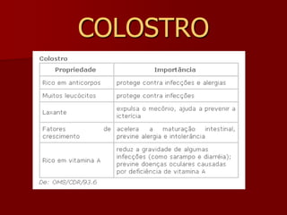 AMAMENTAÇÃOCOLOSTRO(1 semana) LEITE DE TRANSIÇÃO(2 a 3 semanas) LEITE MADURO