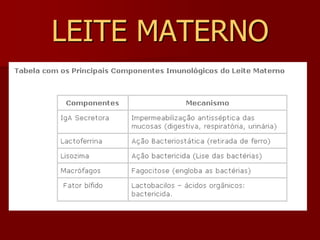 FORMAÇÃO DO LEITEA produção do leite acontece no intervalo das mamadas, ficando o leite armazenado até o esvaziamento seguinte.Nos primeiros dias, a glândula produz o COLOSTRO, de conteúdo protéico elevado e composto por gamaglobulinas.O leite é composto por: água 85%, proteínas 6%, gorduras 4%, lactose 5%. Pode atingir volumes de 500ml, 1litro ou 2 litros/dia.Alguns fármacos podem aparecer no leite.