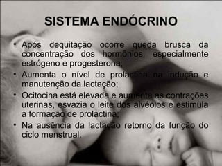 SISTEMA ENDÓCRINO
• Após dequitação ocorre queda brusca da
concentração dos hormônios, especialmente
estrógeno e progesterona;
• Aumenta o nível de prolactina na indução e
manutenção da lactação;
• Ocitocina está elevada e aumenta as contrações
uterinas, esvazia o leite dos alvéolos e estimula
a formação de prolactina;
• Na ausência da lactação retorno da função do
ciclo menstrual.
 