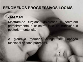 FENÔMENOS PROGRESSIVOS LOCAIS
- MAMAS
Mostram-se túrgidas, dolorosas e secretam
primeiramente o colostro, leite de transição e
posteriormente leite.
A glândula mamária atinge seu apogeu
funcional na fase puerperal.
 
