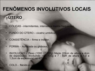 FENÔMENOS INVOLUTIVOS LOCAIS
- ÚTERO
• CÓLICAS - intermitentes, intensas e menos frequentes.
• FUNDO DO ÚTERO – cicatriz umbilical;
• CONSISTÊNCIA – firme e indolor;
• FORMA - Achatada ou globosa;
• INVOLUÇÃO – Peso (1000 - 1200g) Mede (20cm de altura e 4cm
de espessura), involuindo (50 -100g e 7 - 8cm de altura e 1,0 a
1,5cm de espessura) no 40º dia.
• COLO - flácido e violácea
 