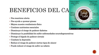  Nos mantiene alerta
 Nos ayuda a quemar grasas
 Mejora nuestro rendimiento físico
 Contiene nutrientes esenciales
 Disminuye el riesgo de padecer diabetes
 Disminuye la posibilidad de sufrir enfermedades neurodegenerativas
 Protege el hígado de padecer cirrosis
 Combate la depresión
 Reduce el riesgo de padecer ciertos tipos de cáncer
 Puede reducir el riesgo de sufrir un infarto
 