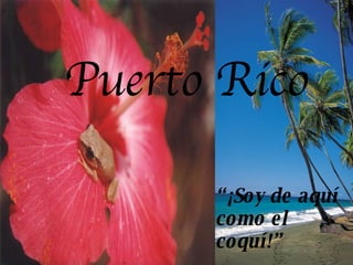 “ ¡Soy de aquí como el coquí!” Puerto Rico 