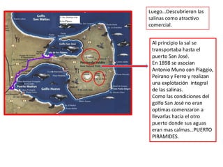 Luego…Descubrieron las
salinas como atractivo
comercial.


 Al principio la sal se
 transportaba hasta el
 puerto San José.
 En 1898 se asocian
 Antonio Muno con Piaggio,
 Peirano y Ferro y realizan
 una explotación integral
 de las salinas.
 Como las condiciones del
 golfo San José no eran
 optimas comenzaron a
 llevarlas hacia el otro
 puerto donde sus aguas
 eran mas calmas…PUERTO
 PIRAMIDES.
 