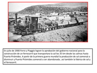 En julio de 1900 Ferro y Piaggio logran la aprobación del gobierno nacional para la
construcción de un ferrocarril que transportara la sal los 35 km desde las salinas hasta
Puerto Pirámides. A partir de la primera guerra mundial la producción de sal comenzó a
disminuir y Puerto Pirámides comenzó a ser abandonada…así también la fabrica de sal y
el ferrocarril.
 
