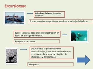 Avistaje de Ballenas de mayo a
                      diciembre.

                6 empresas de navegación para realizar el avistaje de ballenas



Buceo; se realiza todo el año con restricción en
época de avistaje de ballenas.

4 empresas de buceo.


                 Excursiones a la península: tours
                 personalizados , interpretando los distintos
                 ecosistemas, la reserva de pingüino de
                 Magallanes y demás fauna.


              3 Empresas
 