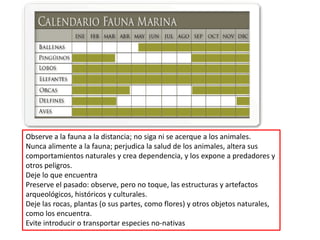 Observe a la fauna a la distancia; no siga ni se acerque a los animales.
Nunca alimente a la fauna; perjudica la salud de los animales, altera sus
comportamientos naturales y crea dependencia, y los expone a predadores y
otros peligros.
Deje lo que encuentra
Preserve el pasado: observe, pero no toque, las estructuras y artefactos
arqueológicos, históricos y culturales.
Deje las rocas, plantas (o sus partes, como flores) y otros objetos naturales,
como los encuentra.
Evite introducir o transportar especies no-nativas
 