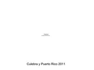 Culebra y Puerto Rico 2011 