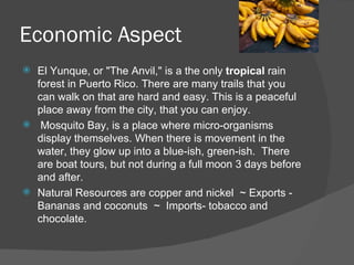 Economic Aspect
 El Yunque, or "The Anvil," is a the only tropical rain
  forest in Puerto Rico. There are many trails that you
  can walk on that are hard and easy. This is a peaceful
  place away from the city, that you can enjoy.
 Mosquito Bay, is a place where micro-organisms
  display themselves. When there is movement in the
  water, they glow up into a blue-ish, green-ish. There
  are boat tours, but not during a full moon 3 days before
  and after.
 Natural Resources are copper and nickel ~ Exports -
  Bananas and coconuts ~ Imports- tobacco and
  chocolate.
 