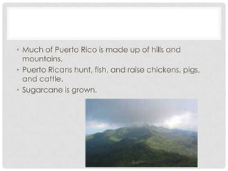 • Much of Puerto Rico is made up of hills and
  mountains.
• Puerto Ricans hunt, fish, and raise chickens, pigs,
  and cattle.
• Sugarcane is grown.
 