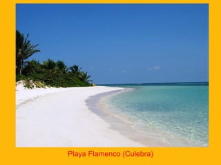 Playa Flamenco (Culebra)

 