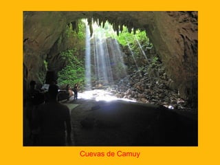 Cuevas de Camuy

 