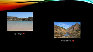 Vega Baja
Rio Grande
 