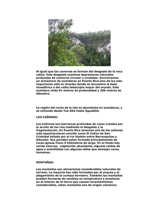 Al igual que las cavernas se forman del desgaste de la roca
caliza. Este desgaste ocasiona depresiones naturales
profundas de contorno circular u ovaladas. Encontramos
un sinnúmero de sumideros en Puerto Rico.Uno de los más
importanes está en Arecibo donde se encuentra la base
inosoférica o del radio telescopio mayor del mundo. Este
sumidero mide 91 metros de profundidad y 396 metros de
diámetro.

La región del norte de la isla es abundante en sumideros, y
se extiende desde Toa Alta hasta Aguadilla.
LOS CAÑONES:
Los Cañones son barrancas profundas de rocas creadas por
la acción de los ríos mediante el desgaste y la
fragmentación. En Puerto Rico tenemos uno de los cañones
más espectaculares concido como El Cañon de San
Cristobal tallado por el rio Usabón entre Barranquitas y
Aibonito. Sus paredes estan formada principalmente de
rocas igneas.Tiene 9 kilómetros de largo. En el fondo hay
varias charcas, vegetación abundante, algunas caídas de
agua y acántilados con algunas tallas que semejan caras
humanas..

MONTAÑAS:
Las montañas son elevaciones considerables naturales de
terreno. La mayoría han sido formadas por el arqueo y el
plegamiento de la corteza terrestre. También las montañas
pueden formarse de cambios en temperatura y presiones
en el interior de la tierra que causan levantamientos
considerables, estas montañas son de origen volcánico.

 