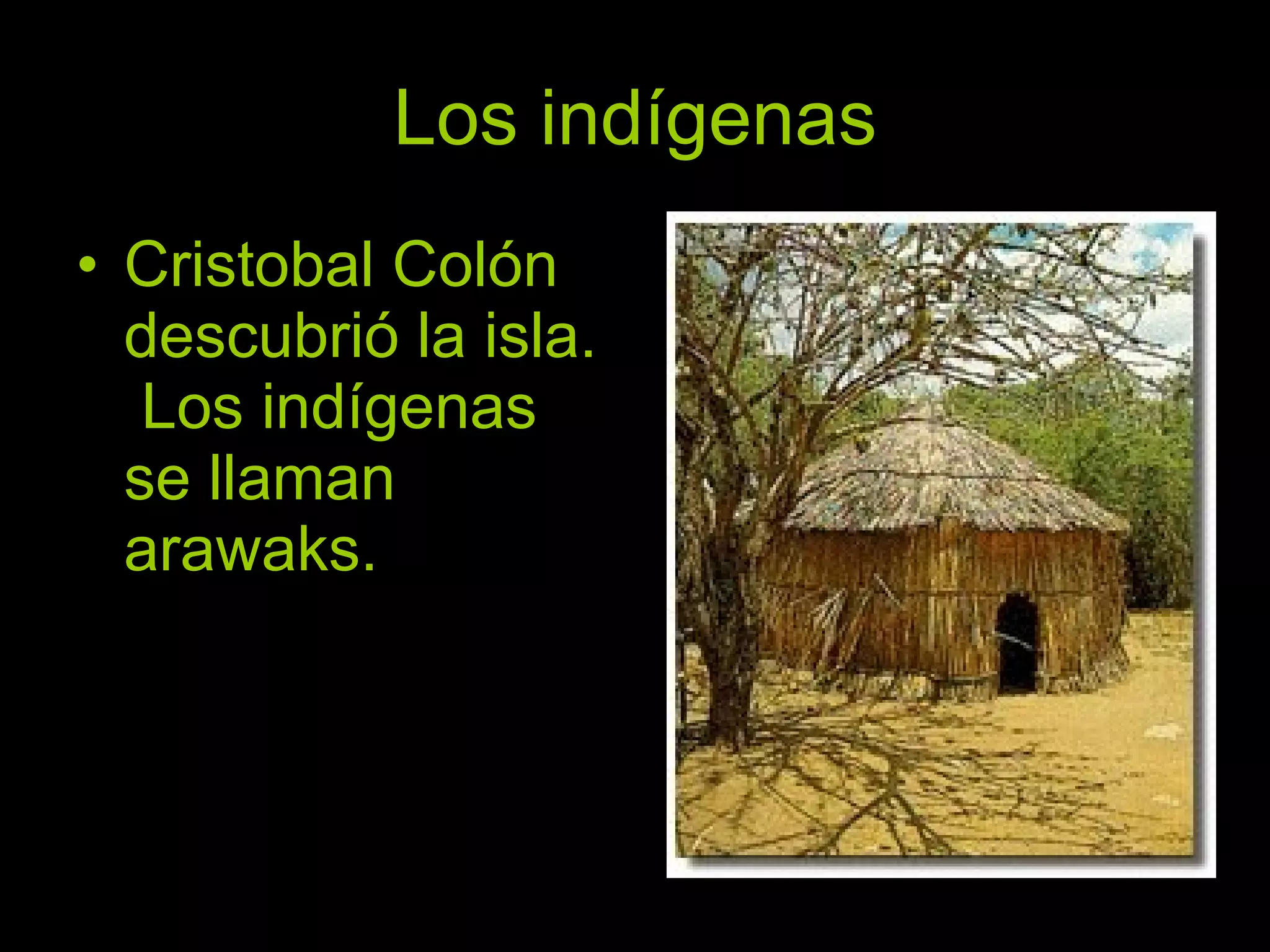Los indígenas
• Cristobal Colón
  descubrió la isla.
   Los indígenas
  se llaman
  arawaks.
 