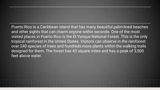 Puerto Rico is a Caribbean island that has many beautiful palm-lined beaches
and other sights that can charm anyone within seconds. One of the most
visited places in Puerto Rico is the El Yunque National Forest. This is the only
tropical rainforest in the United States. Visitors can observe in the rainforest
over 240 species of trees and hundreds more plants within the walking trails
designed for them. The forest has 43 square miles and has a peak of 3,500
feet above water.
 