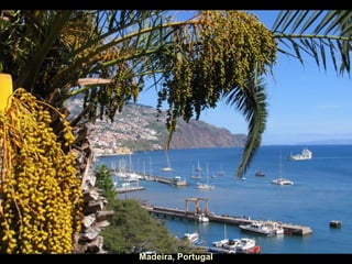 Madeira, Portugal 