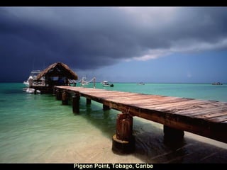 Pigeon Point, Tobago, Caribe 