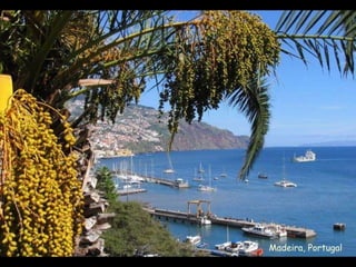 Madeira, Portugal 