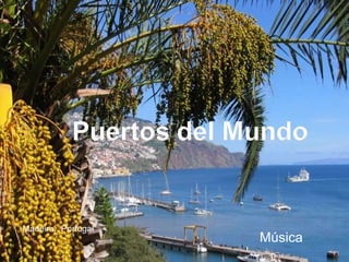 Puertos Cargar Producciones  C anelones  -  Uruguay PULSAR Música Madeira,, Portugal 