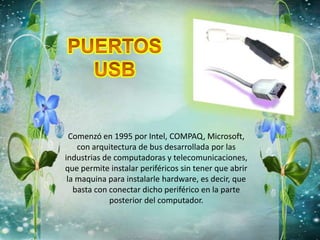 Comenzó en 1995 por Intel, COMPAQ, Microsoft,
con arquitectura de bus desarrollada por las
industrias de computadoras y telecomunicaciones,
que permite instalar periféricos sin tener que abrir
la maquina para instalarle hardware, es decir, que
basta con conectar dicho periférico en la parte
posterior del computador.
 
